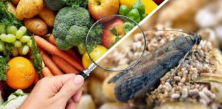 How to Kill Flour Moths Permanently With One Kitchen Staple
