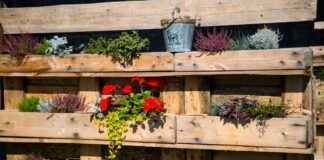 DIY nápady na květináče: Proměňte odpadky ve zlato ve vaší zahradě