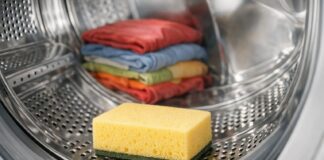 How a 1-Euro Sponge Preserves Clothes Colors in Your Washing Machine