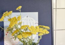 Чому датський бренд Søstrene Grene – найдоступніше рішення для осіннього декору